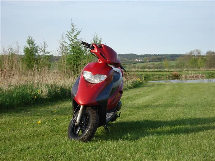 Honda SFX billede 1
