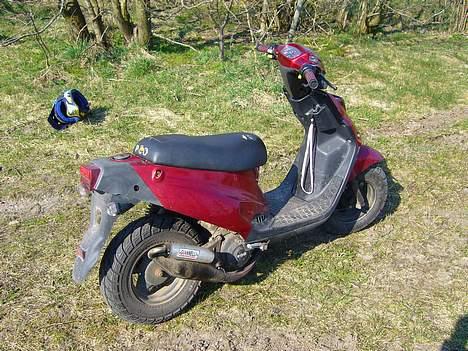 PGO hot 50 solgt billede 2