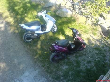 Aprilia Sonic  Solgt  billede 8