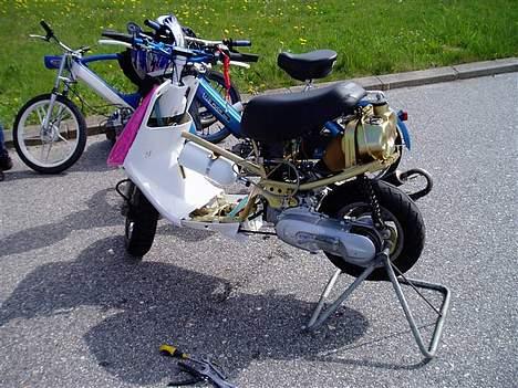 Puch maxi k Solgt - Hjørring træf billede 10