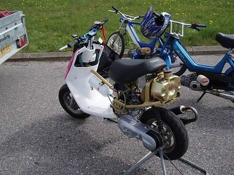 Puch maxi k Solgt - Hjørring træf billede 12