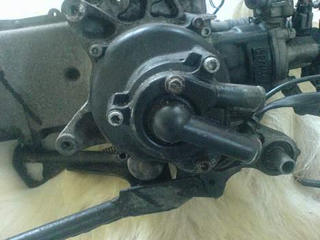 CPI Oliver (SOLGT!) billede 15