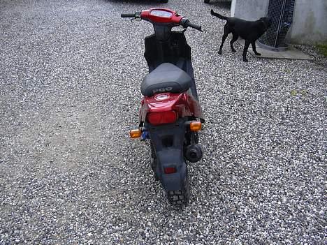 PGO Hot Tornado Byttet billede 5