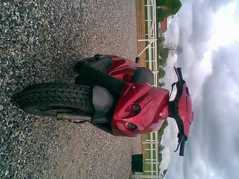 PGO Hot Tornado Byttet billede 7