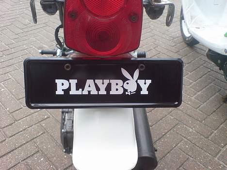 Suzuki FZ50 [STJÅLET] :( billede 3