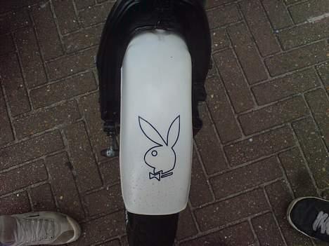 Suzuki FZ50 [STJÅLET] :( billede 6