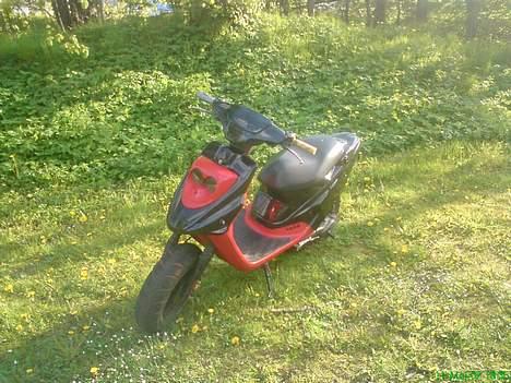 PGO hot50 (SOLGT) billede 2