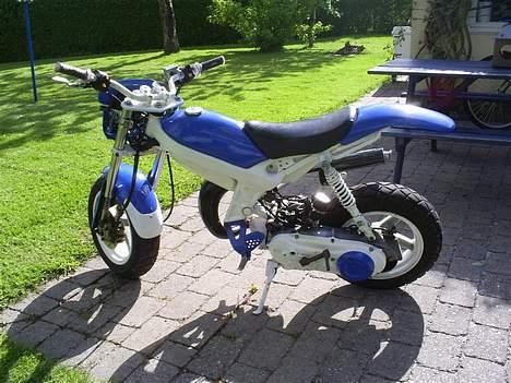 Suzuki Street Magic - Solgt billede 3