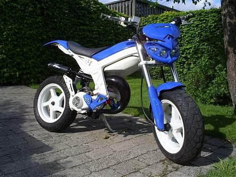 Suzuki Street Magic - Solgt billede 8