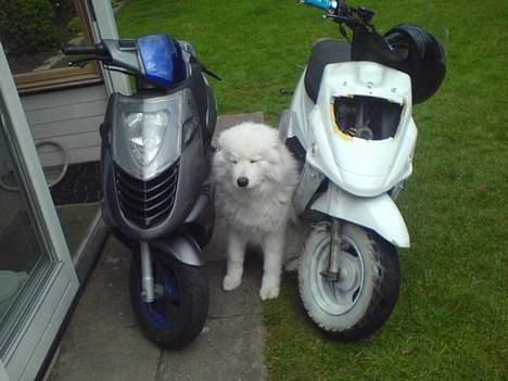 Aprilia Sonic {dengang} solgt billede 6