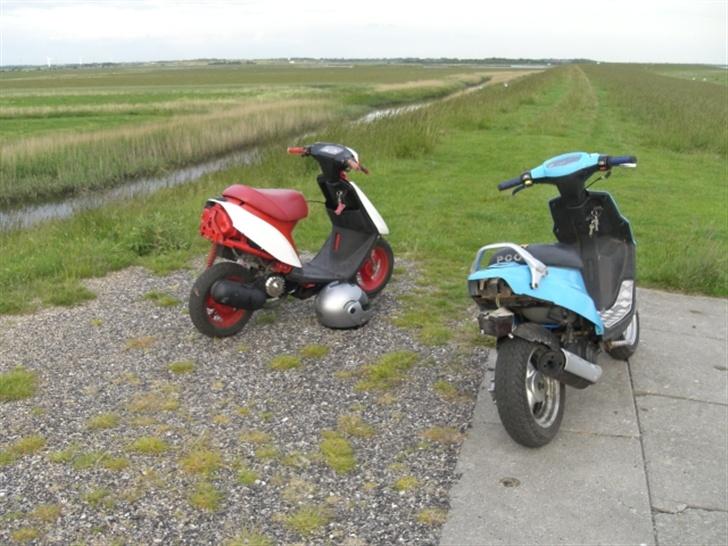 PGO Hot 50/ PMX {Solgt} billede 3