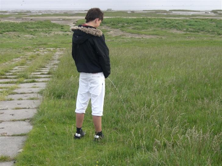 PGO Hot 50/ PMX {Solgt} - Joggen´s ejer! billede 5