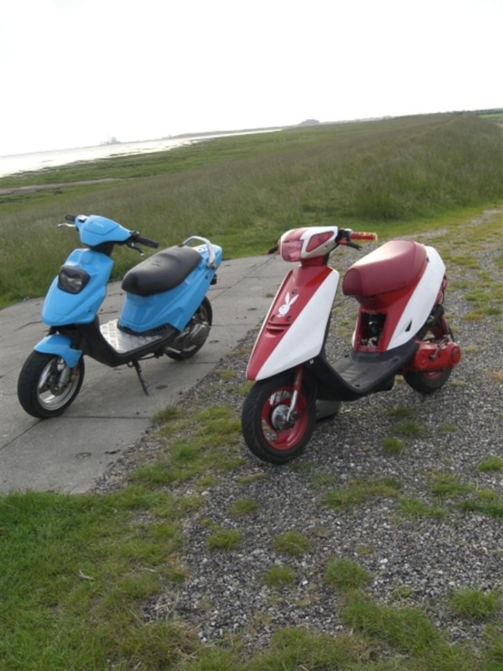 PGO Hot 50/ PMX {Solgt} - Er vi ikke søde! billede 6