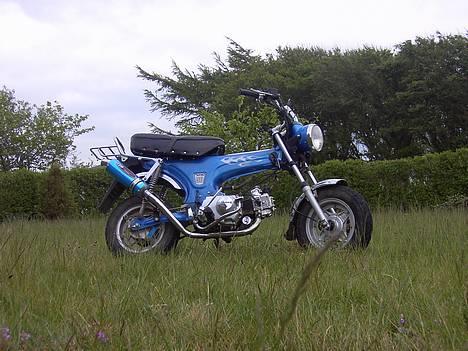 Skyteam dax solgt - ja vi har ikk li fået slået græsset billede 11