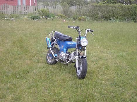 Skyteam dax solgt - ja vi har ikk li fået slået græsset billede 13