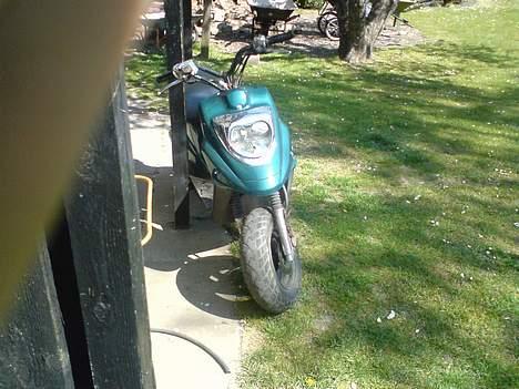 PGO Hot 50 billede 2