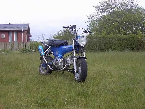 Skyteam dax solgt - ja vi har ikk li fået slået græsset billede 14