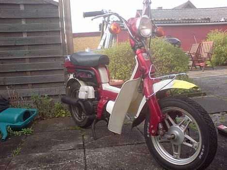 Suzuki FZ50 billede 1