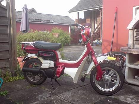 Suzuki FZ50 billede 4