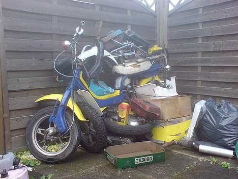 Suzuki FZ50 billede 8