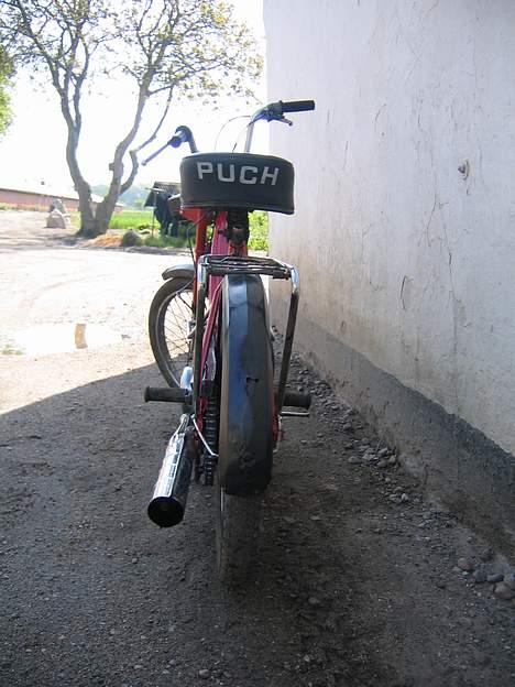 Puch maxi solgt billede 4