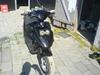 PGO Hot 50