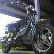 Suzuki FZ 50 | s0lgt