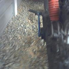 Suzuki fz 50 (SOLGT)