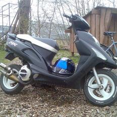 Honda SFX SE - FØR !