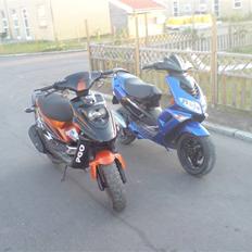 PGO Hot50 • Før •