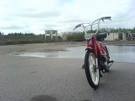 Puch Maxi solgt billede 2