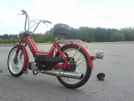 Puch Maxi solgt billede 4