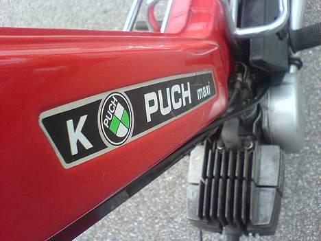 Puch Maxi solgt billede 5