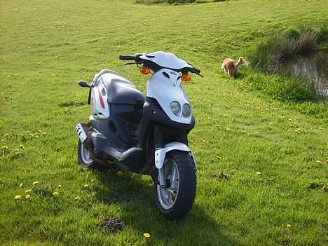 PGO Pmx Sport Solgt billede 2