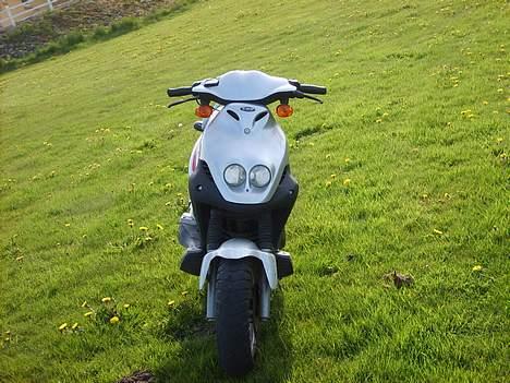 PGO Pmx Sport Solgt billede 3