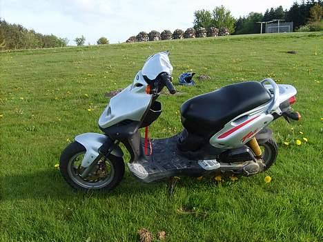 PGO Pmx Sport Solgt billede 4