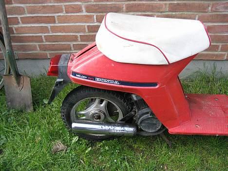 Honda melody mini billede 5