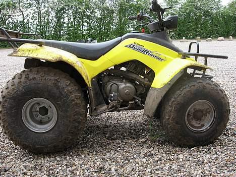 Suzuki QuadRunner billede 1