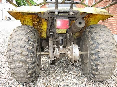 Suzuki QuadRunner billede 3