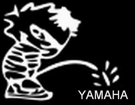 PGO hot50 *mulle* byttet... billede 16