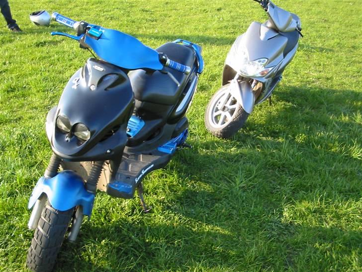 Polini PMX EVO AC billede 18