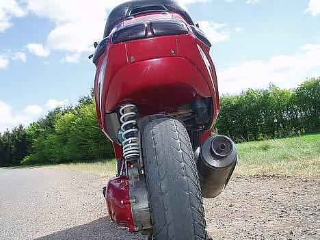 Piaggio typhoon lækker mega...!!  billede 11