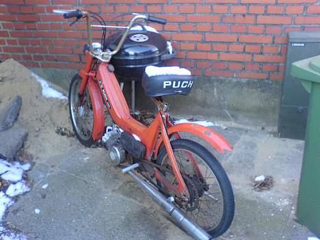 Puch Maxi billede 5