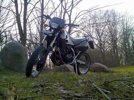 Suzuki SMX - Solgt :\ - UHH !! Elsker det her billede ! baggrunden på mobilen , hehe billede 18