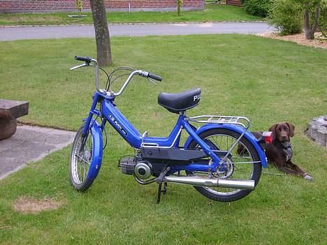 Puch maxi k/solgt billede 8