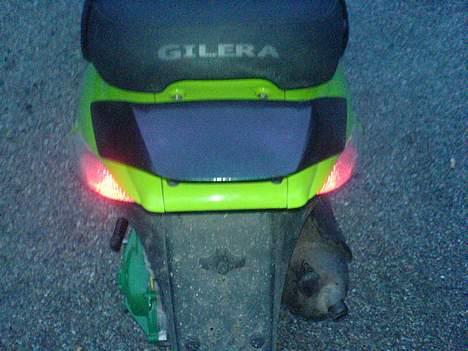 Gilera Stalker billede 4