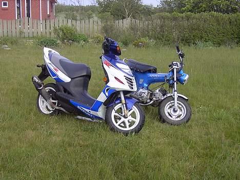 Skyteam dax solgt billede 18