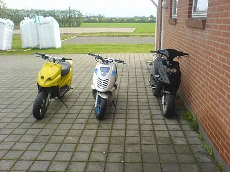 PGO hot 50 byttet billede 7