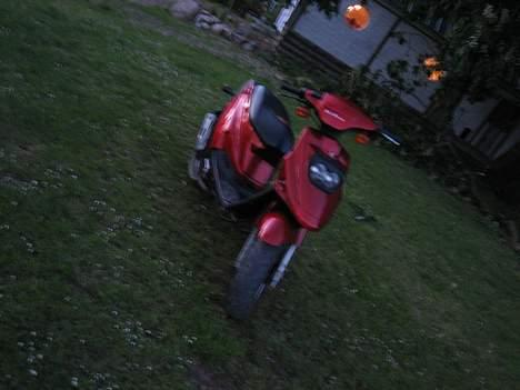 PGO Hot (FØR) - Byttet billede 2