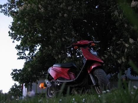 PGO Hot (FØR) - Byttet billede 5